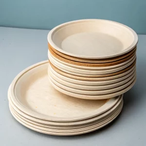 Assiette réutilisable  Embavert